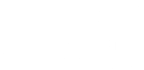 IdahoAbortionRights logo